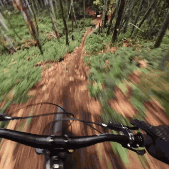 Pov360cam™ POV SnapCamera